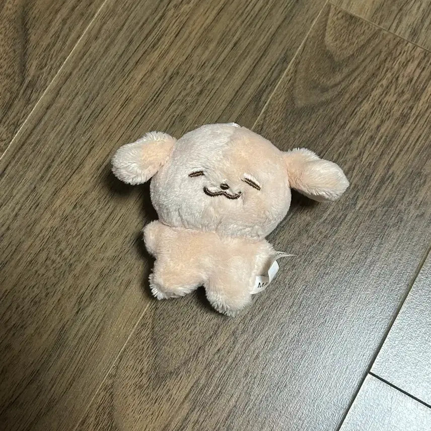 [BUNJANG] NCT Dream Jeno Doll / NCT DREAM 제노 인형 양도
