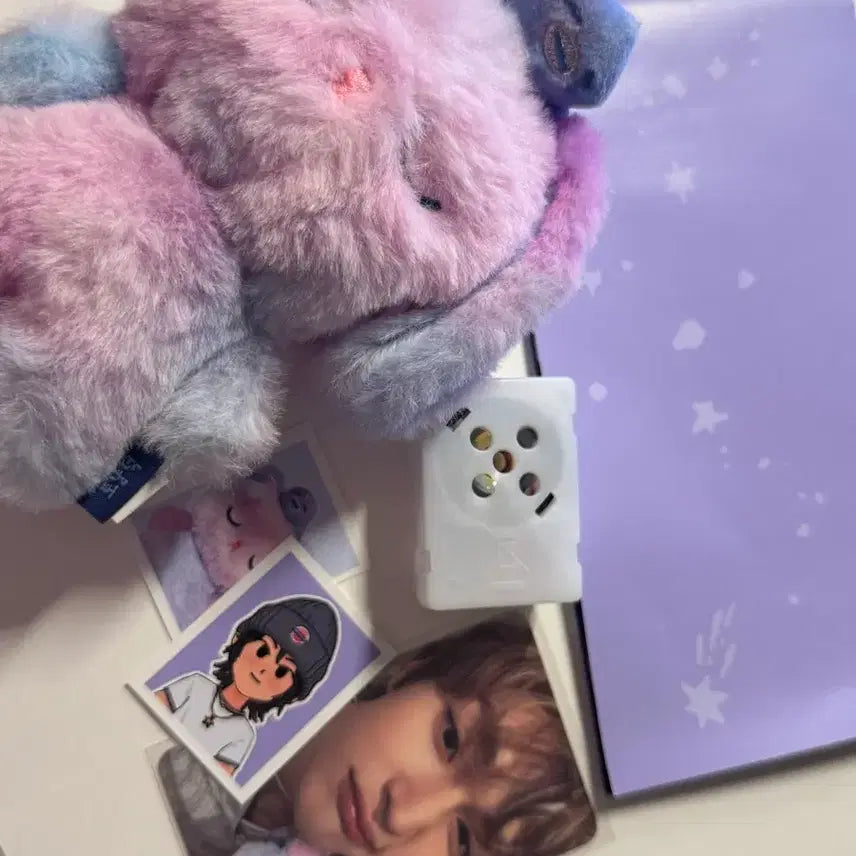 [SOLD OUT] 보이스키링 원빈 토냥덕 양도 위버스