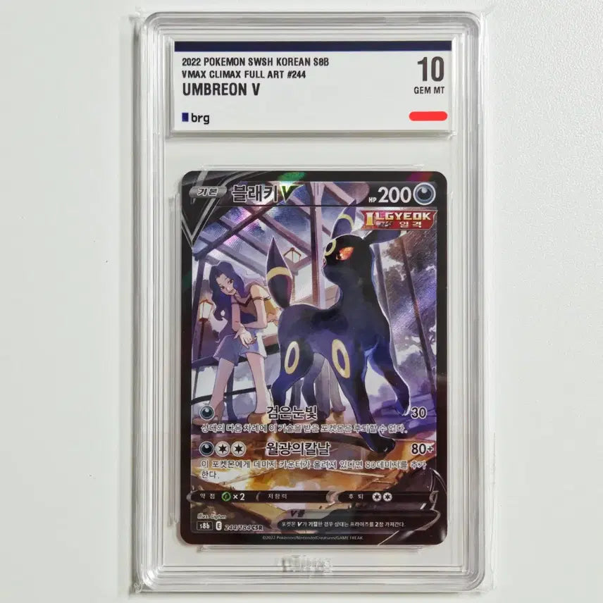 [SOLD OUT] 포켓몬카드 블래키 CSR [BRG 10등급]