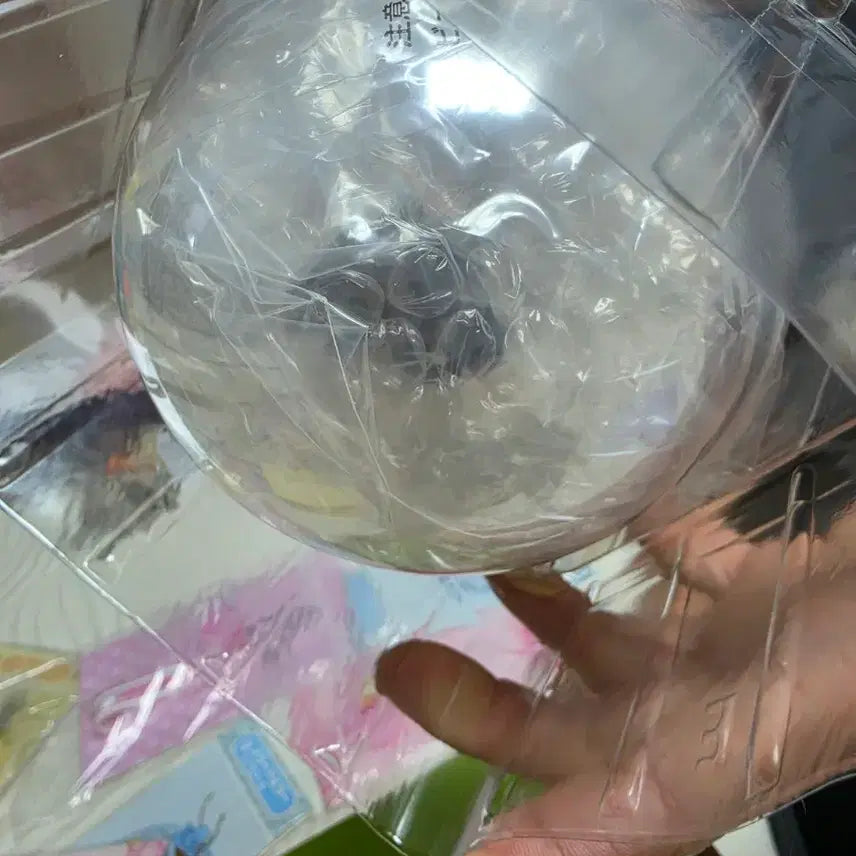 [BUNJANG] Bandai Hancock Seraphim Figure / 원피스 제일복권 상상하는미래 E상 핸콕 세라핌 피규어+키링 판매