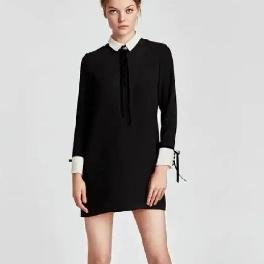 [BUNJANG] Zara Collar Dress (XS/S) / zara 카라 원피스(xs,여유핏 55가능