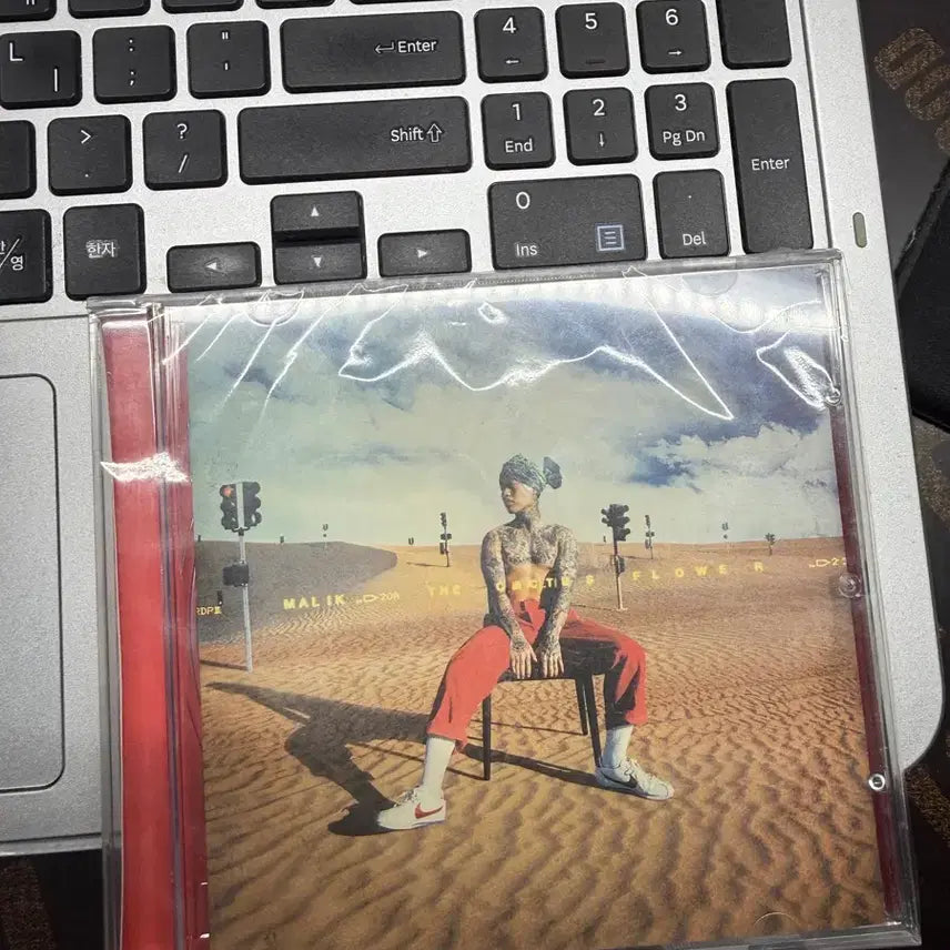 [BUNJANG] Don Malik Cactus Flower CD / 던말릭 선인장화 미개봉 새상품