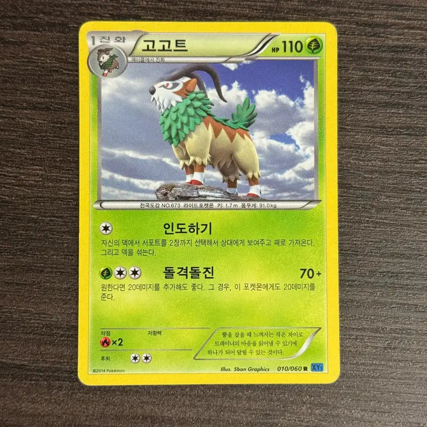 [BUNJANG] Pokemon Gogoat Card / 포켓몬카드 고고트 판매 2