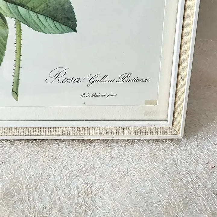 [BUNJANG] Vintage Rose Frame / 빈티지 로즈 프레임