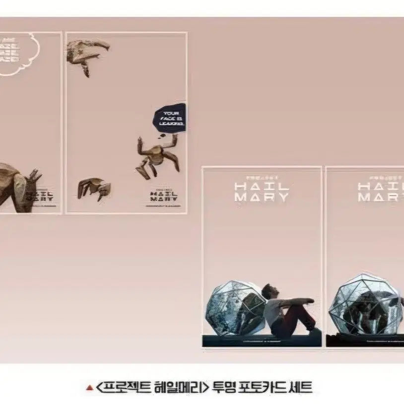 [SOLD OUT] 프로젝트 헤일메리 7주차 특전 투명 포토카드 세트