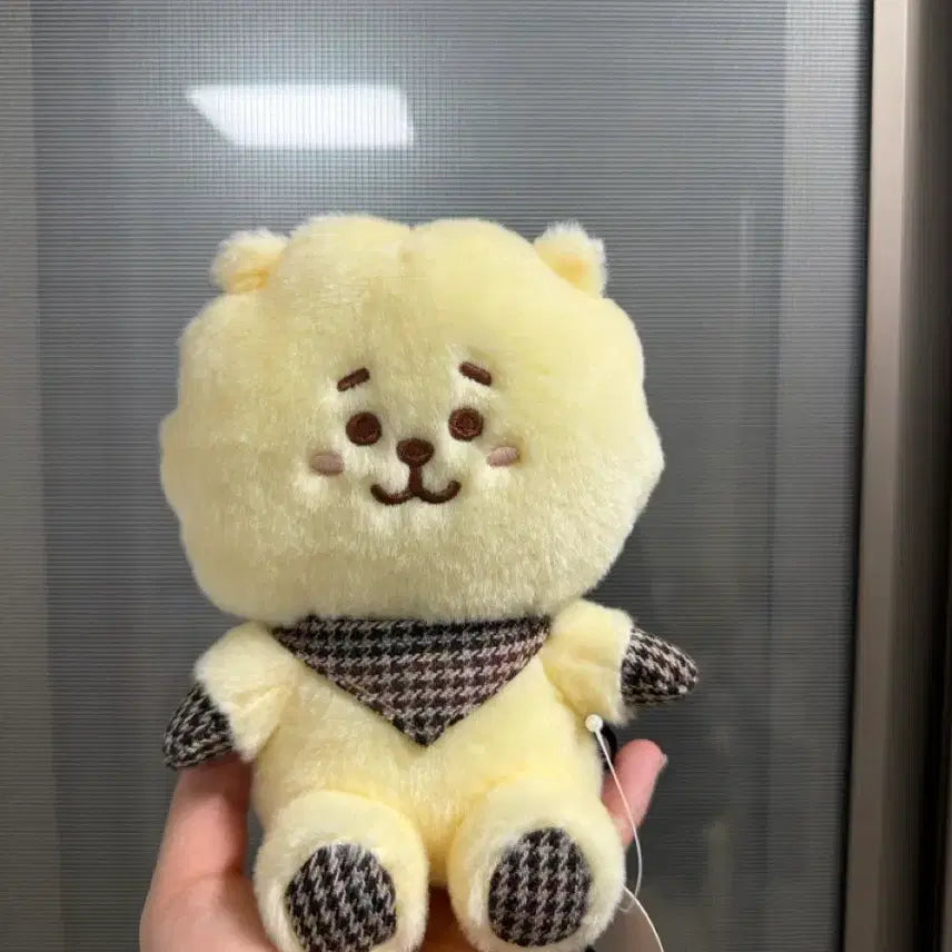[BUNJANG] BT21 RJ Plush Doll / BT21 알제이 일본판 봉제인형