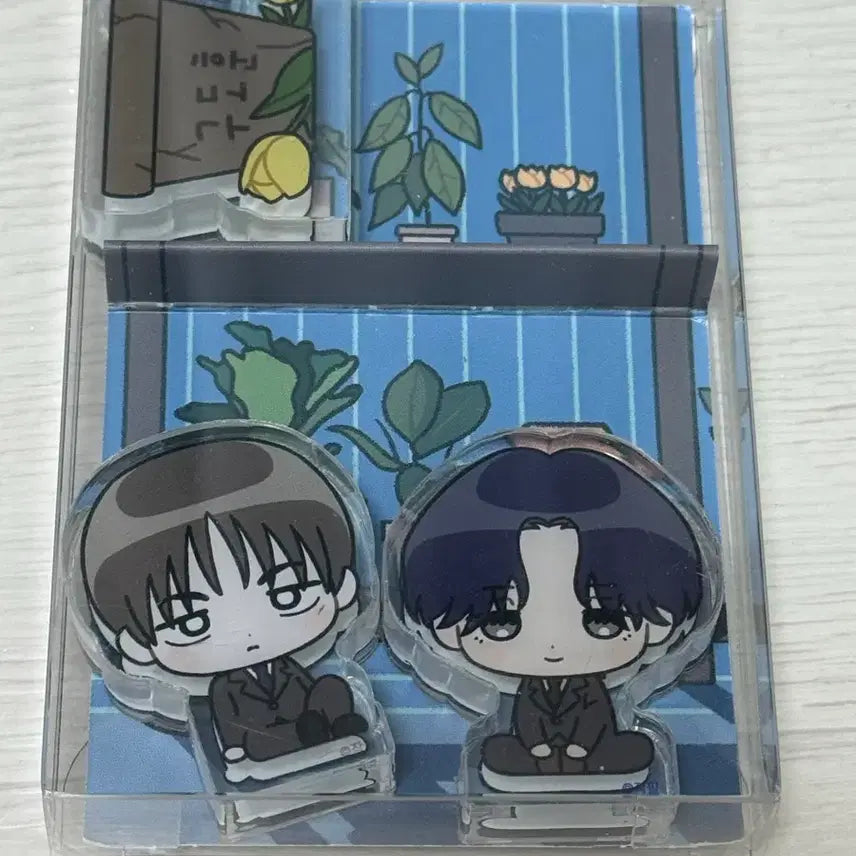 [BUNJANG] Yu Won Bul Byeon Acrylic Block Planter / 유원불변 아크릴블록 화분 (포카제외)