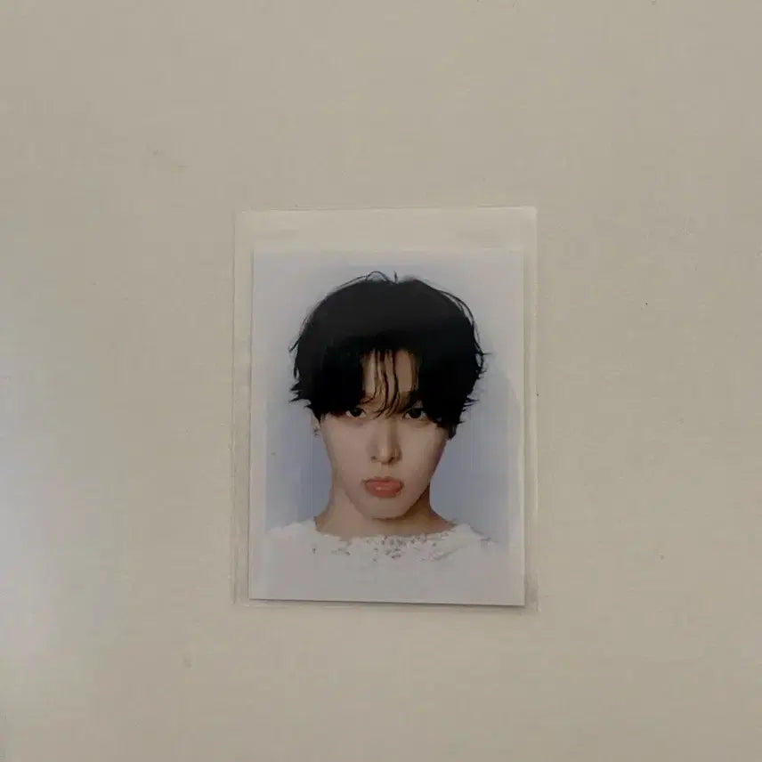 [BUNJANG] Ode to Love Riku 증명사진 Photocard / Ode to love 팝업 리쿠 증사 양도