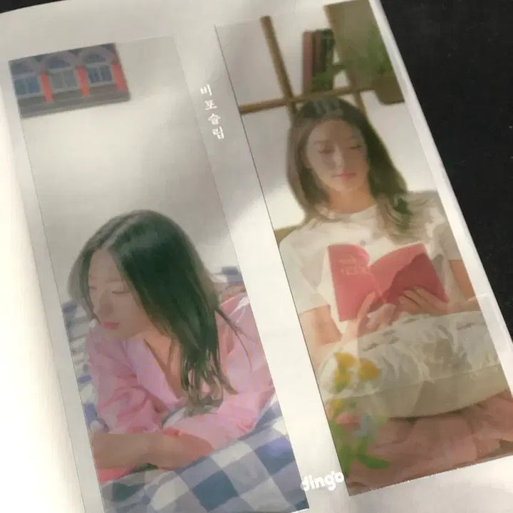 [BUNJANG] fromis_9 Saerom Dingo Before Sleep Photo Essay / 프로미스나인 새롬 딩고 비포슬립 포토에세이