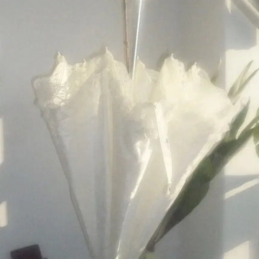 [BUNJANG] Avely Lace Parasol White / 에이블리 레이스 양산 화이트