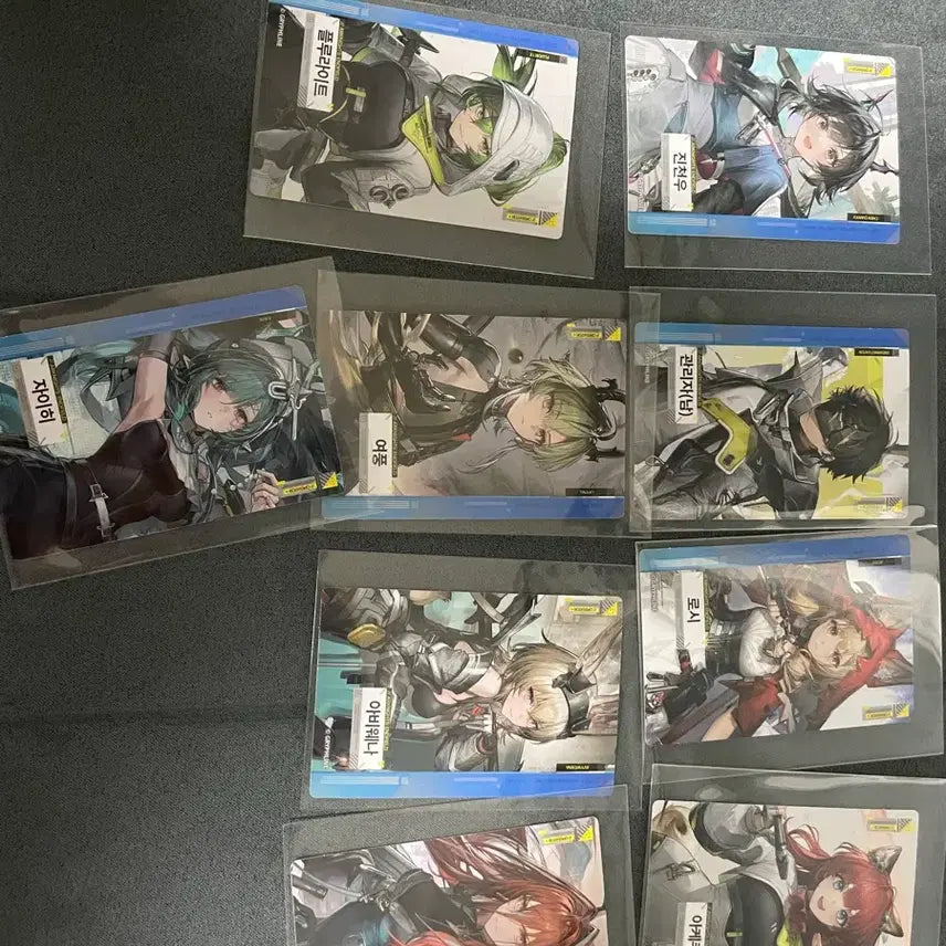 [SOLD OUT] 명일방주 엔드필드 포토카드9장