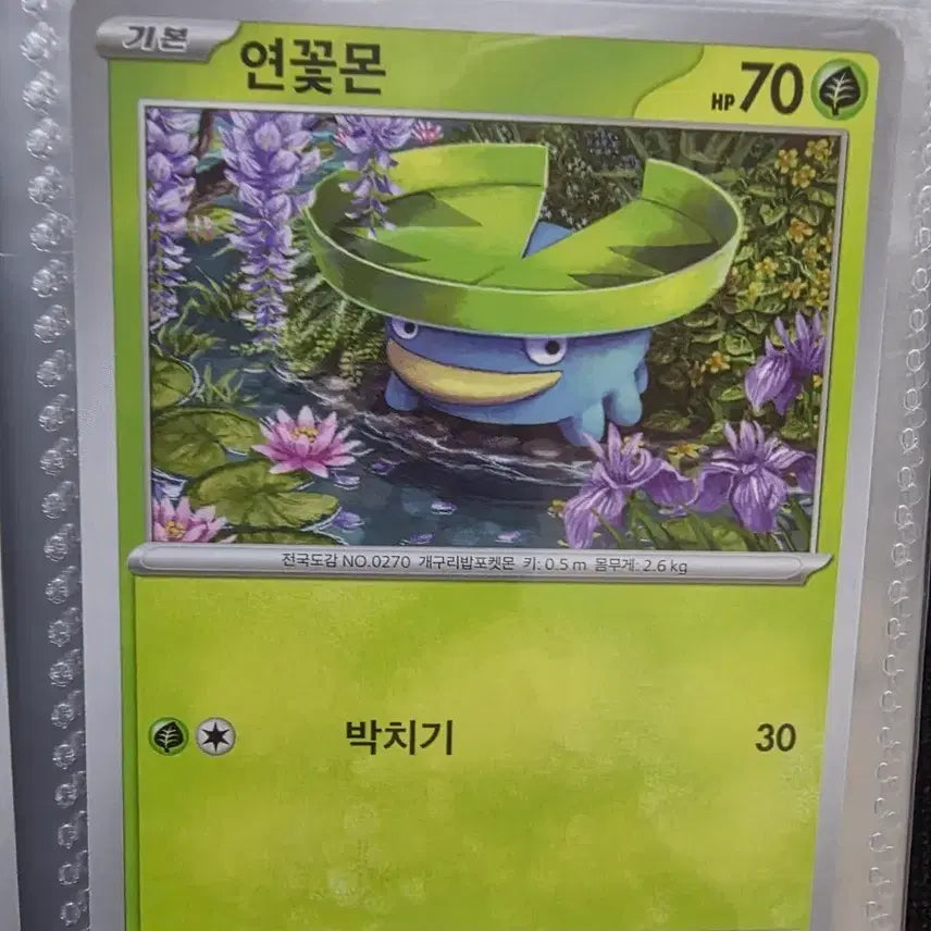 [BUNJANG] 연꽃몬 500원 / 연꽃몬 500원