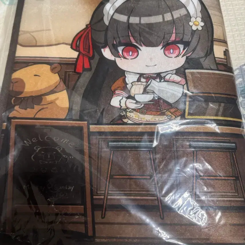 [BUNJANG] Myungjo Cafe Chisa Microfiber Rug / 명조(띵조카페) 치사 극세사 러그 발매트 미개봉