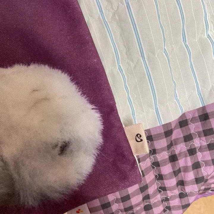 [SOLD OUT] Coyseio 코이세이오 오후 토트백