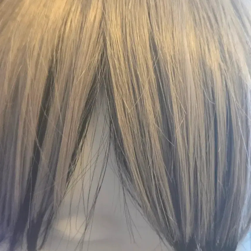 [BUNJANG] Haikyuu Shinsuke Kita Wig / 하이큐 키타 신스케 가발 판매합니다