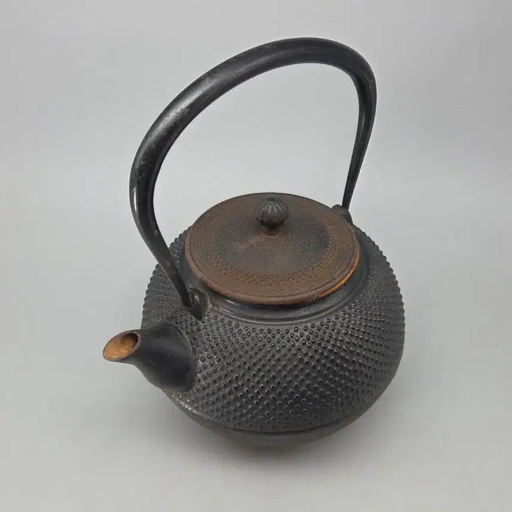 [BUNJANG] Antique 100-Year-Old Iron Teapot / 민속품 100년 전후 무쇠 원형 돌기문 철병 주전자