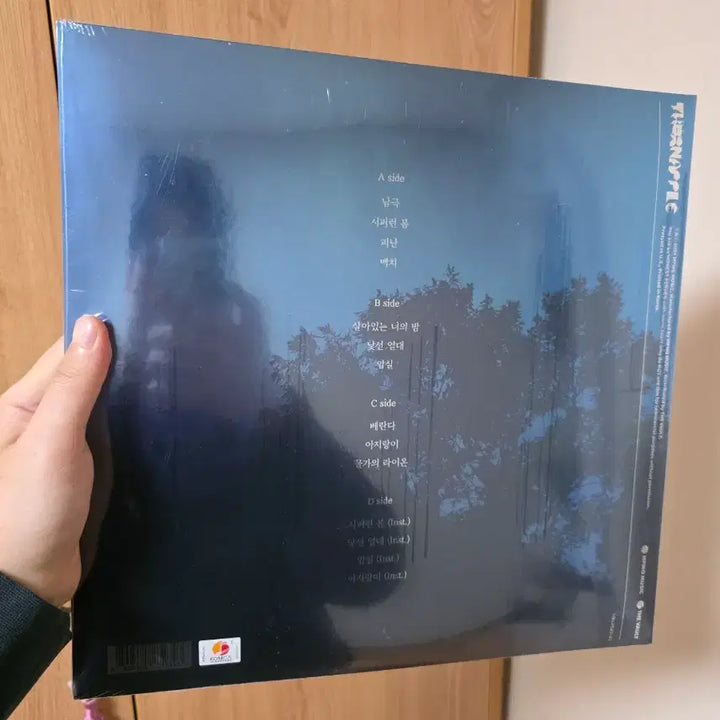 [SOLD OUT] 미개봉) 쏜애플 이상기후 10주년 LP