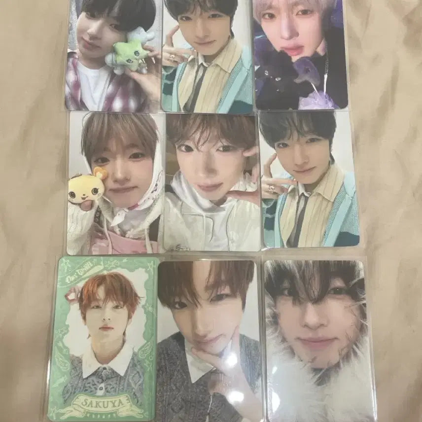 [SOLD OUT] 엔시티위시 사쿠야 포카 일괄 판매