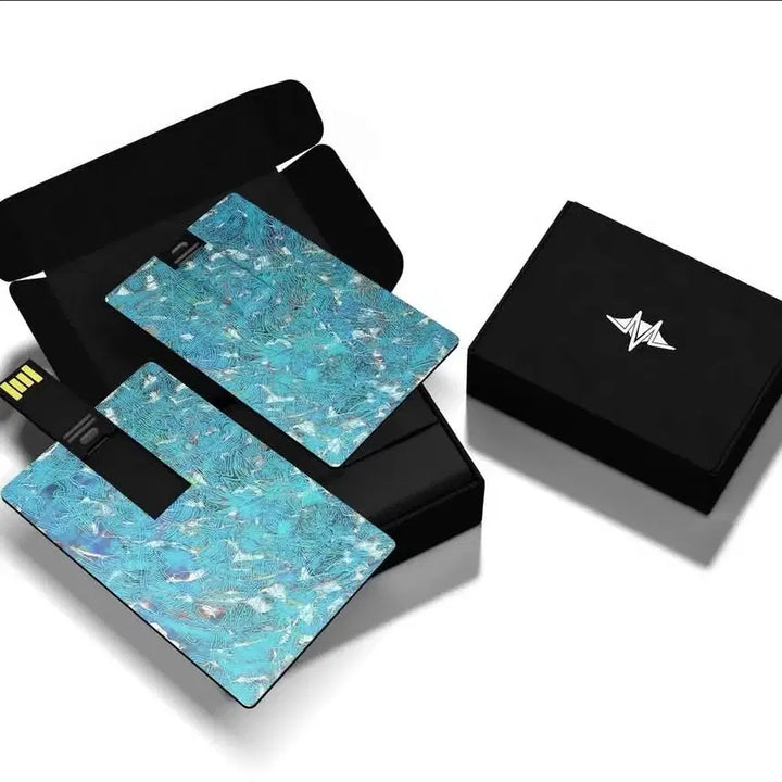 [BUNJANG] Vince USB Card (Sealed) / 빈첸 usb 미개봉