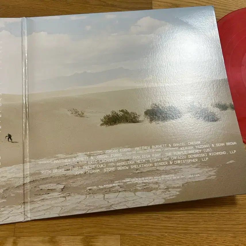 [SOLD OUT] (최종가격입니다.배송비별도.당일배송)다니엘 시저 케이스스터디01 Lp