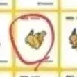 [BUNJANG] Pokemon 30th Anniversary Logo Sticker / 포켓몬  시즌 5 30주년  로고 띠부씰 교환 /판매