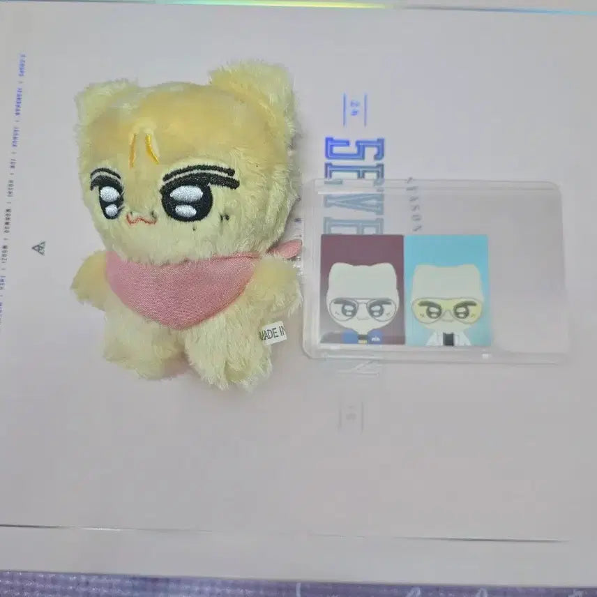 [BUNJANG] SEVENTEEN JUN Doll Plush / 세븐틴인형 준 .쭌먕이