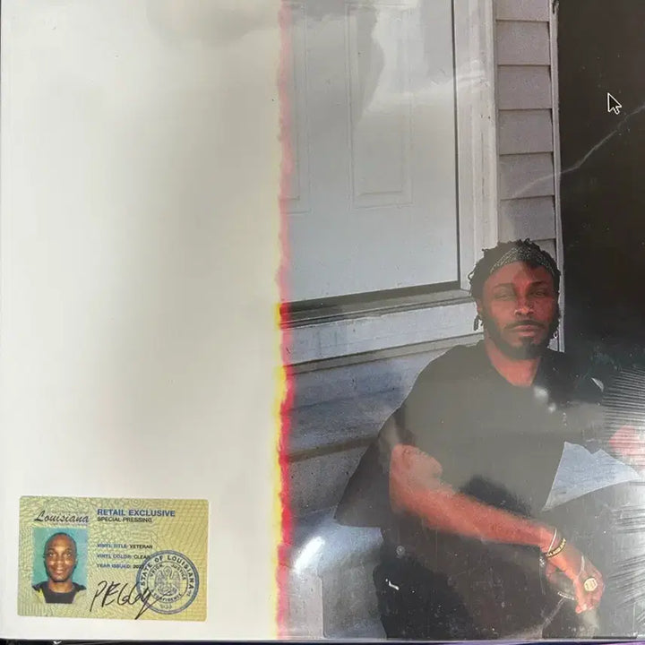 [BUNJANG] Jpegmafia Veteran LP (Special Pressing) / Jpegmafia - veterang lp미개봉