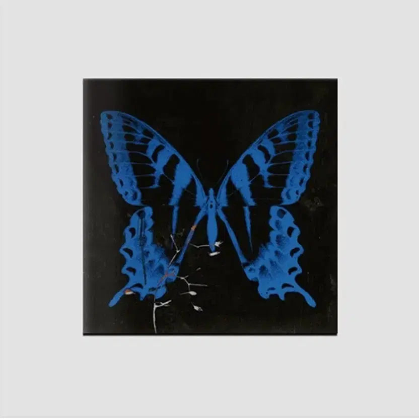 [BUNJANG] Song So Hee Aerial Dance CD (Sealed) / 송소희 앨범 cd 공중무용  (미개봉)