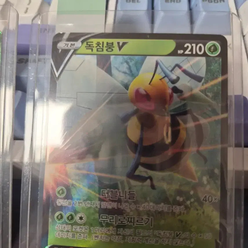 [BUNJANG] 포켓몬카드(사마자르,리자몽,다탱구,이올브,독침붕,켄타로스)팝니다 / 포켓몬카드(사마자르,리자몽,다탱구,이올브,독침붕,켄타로스)팝니다