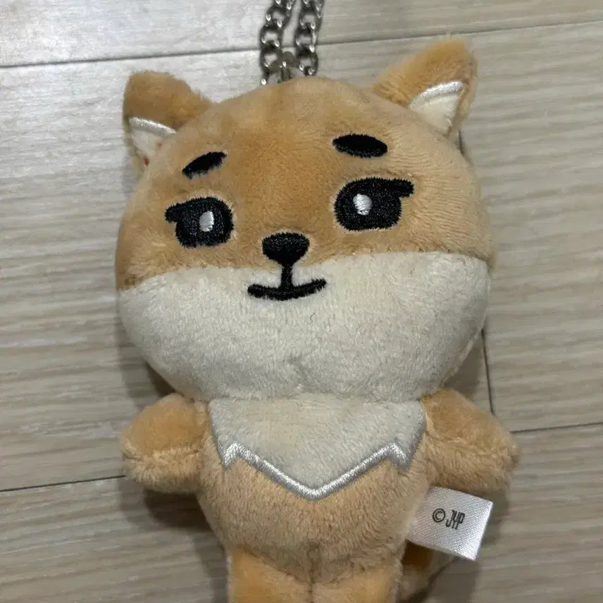 [BUNJANG] Day6 Japanese Back Charm Keyring / 데이식스 일본 백참 케