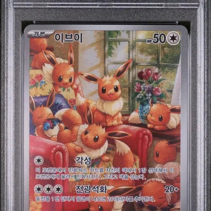 [SOLD OUT] 포켓몬 psa 등급카드 6장 일괄판매