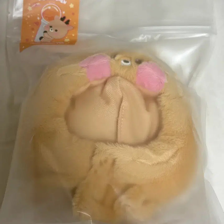 [BUNJANG] 라이즈 성찬 우락밤 응원봉 케이프 / 라이즈 성찬 우락밤 응원봉 케이프