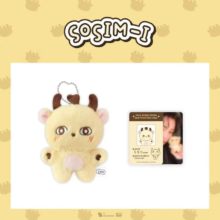 [BUNJANG] Park Jihoon Sosimi Doll / 박지훈 소심이 인형 팔아요