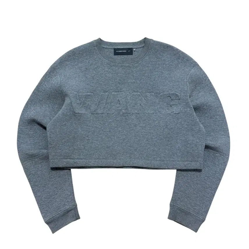 [BUNJANG] Alexander Wang x H&amp;M Logo Cropped Sweatshirt / 알렉산더왕 x H&amp;M 크롭 맨투맨