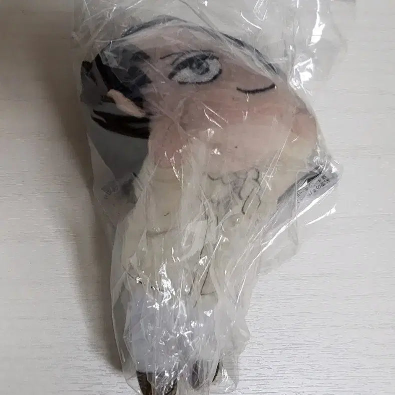 [BUNJANG] The Promised Neverland Ray Nesoberi Plush Keychain / 약속의 네버랜드 약네랜 레이 네소베리 누이 인형 키링 굿즈 판매 양도