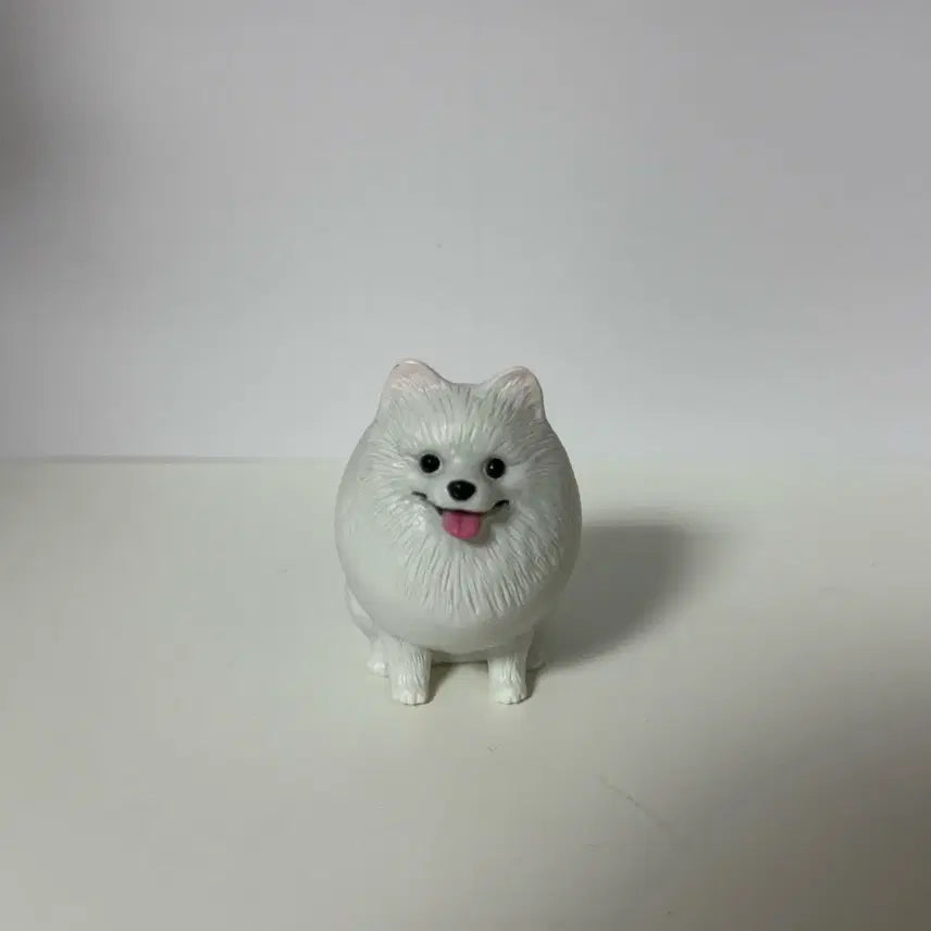 [SOLD OUT] 불들어오는 포메라니안 가챠