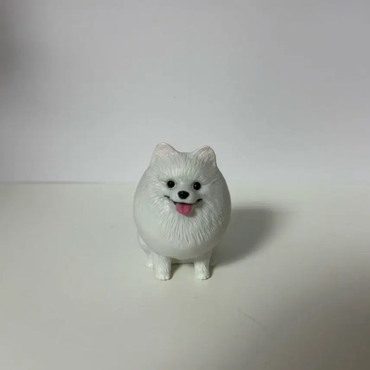 [SOLD OUT] 불들어오는 포메라니안 가챠