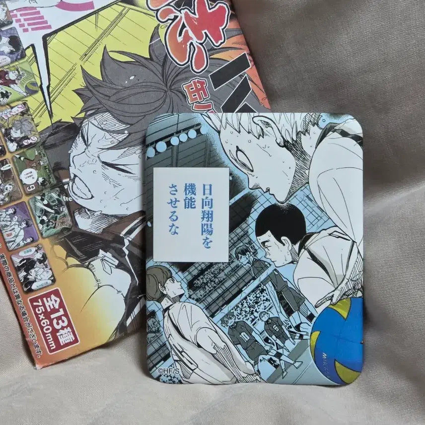[BUNJANG] Chungpeushop Kamomedai Badge / 중프샵 하이큐 뱃지 카모메다이