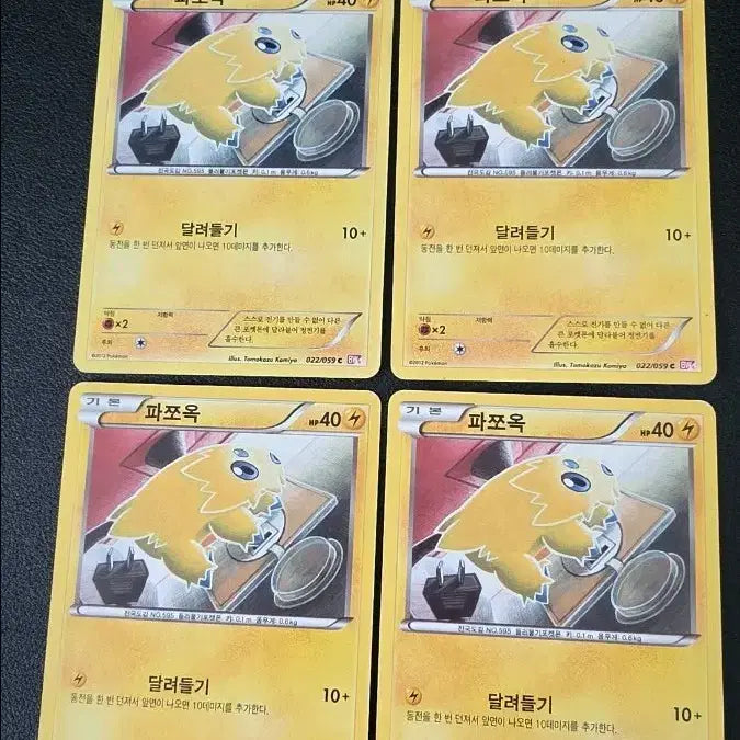 [BUNJANG] Pokemon Card Pajoo BW6 / 포켓몬 카드 파쪼옥 bw6