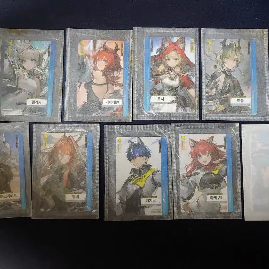 [BUNJANG] Arknights Endfield Photocard Bundle Set / 명일방주 엔드필드 포토카드
