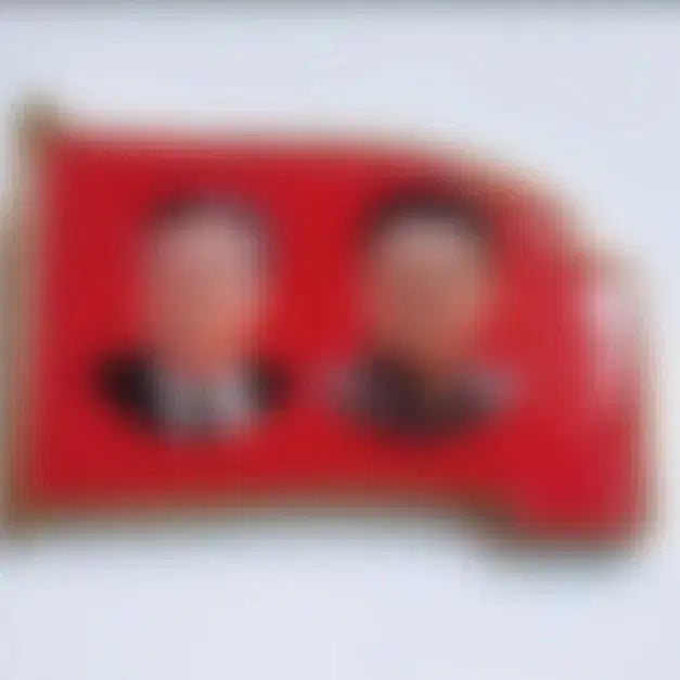 [BUNJANG] North Korean Portrait Emblem Badge / 초상휘장 북한 뱃지