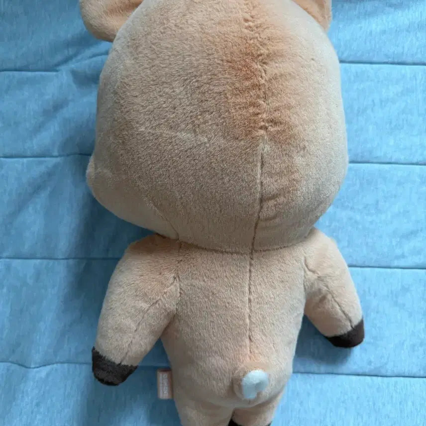 [SOLD OUT] 라이즈 우락밤 40cm 전시품