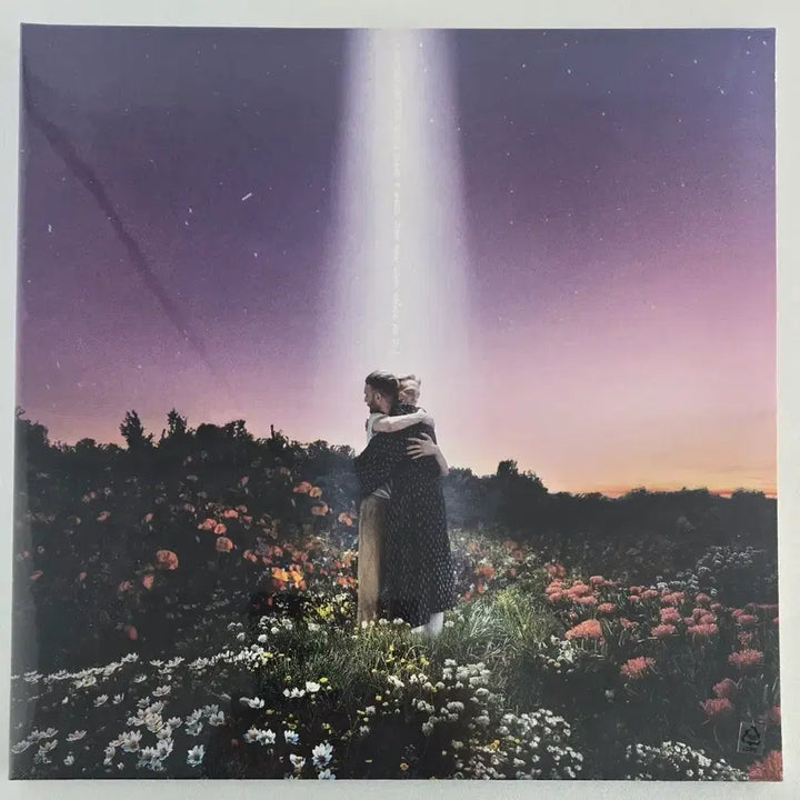 [BUNJANG] Honne What Would You Do Unsealed Vinyl LP / Honne의 What Would You Do 미개봉LP