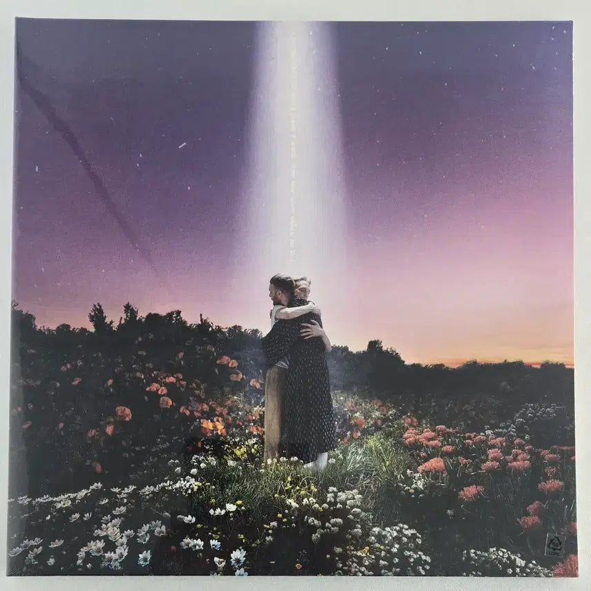 [BUNJANG] Honne What Would You Do Unsealed LP / Honne의 What Would You Do 미개봉LP
