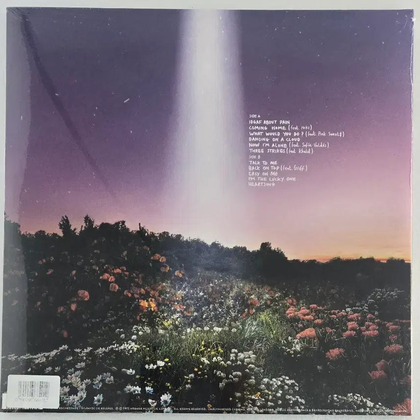 [BUNJANG] Honne What Would You Do Unsealed LP / Honne의 What Would You Do 미개봉LP