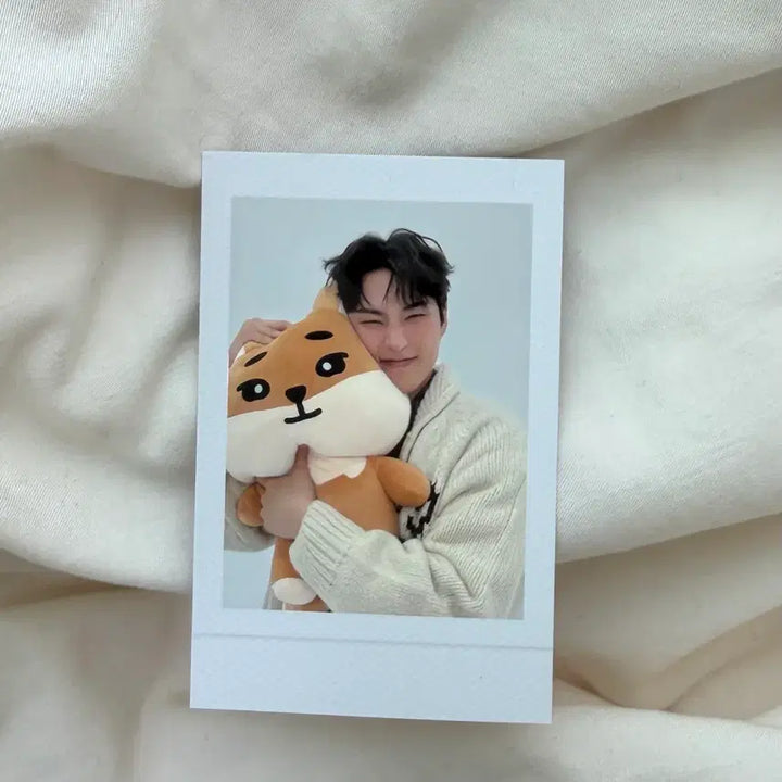 [SOLD OUT] 데이식스 영케이 데니멀즈 자이언트 케