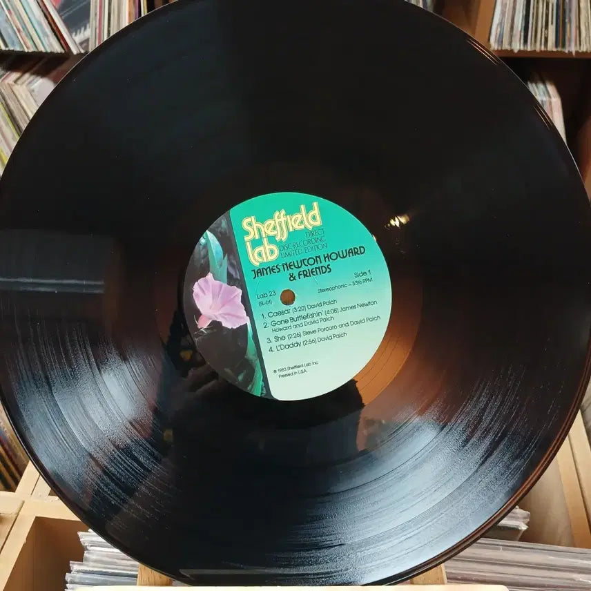 [SOLD OUT] 희귀 재즈 제임스 뉴턴 하워드 LP 할인