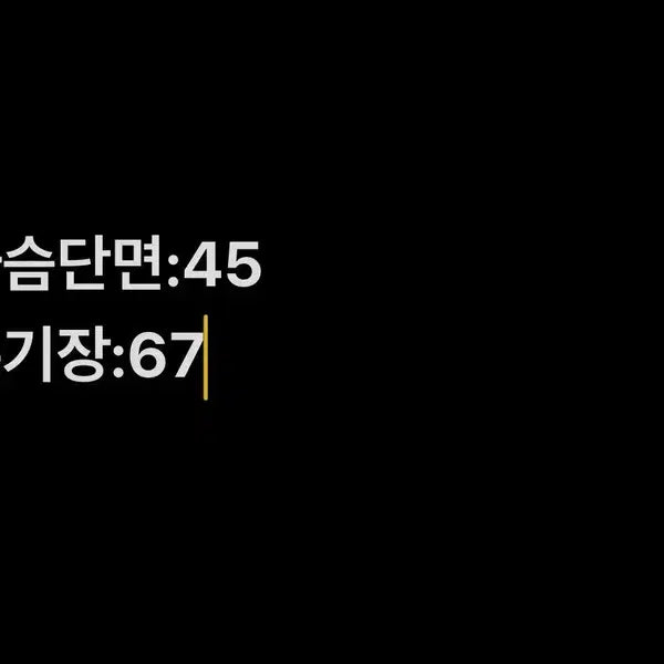 [BUNJANG] [정품/95] JDX 골프 메쉬 조끼   CC / [정품/95] JDX 골프 메쉬 조끼   CC