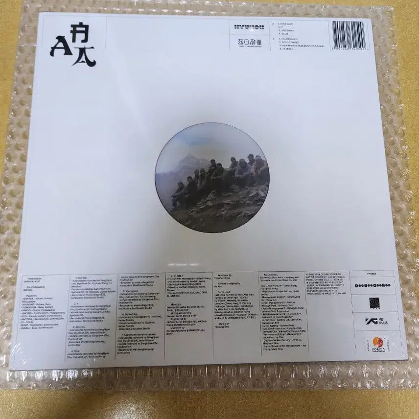 [BUNJANG] 혁오 선셋 롤러코스터 LP AAA 미개봉 새제품 / 혁오 선셋 롤러코스터 LP AAA 미개봉 새제품
