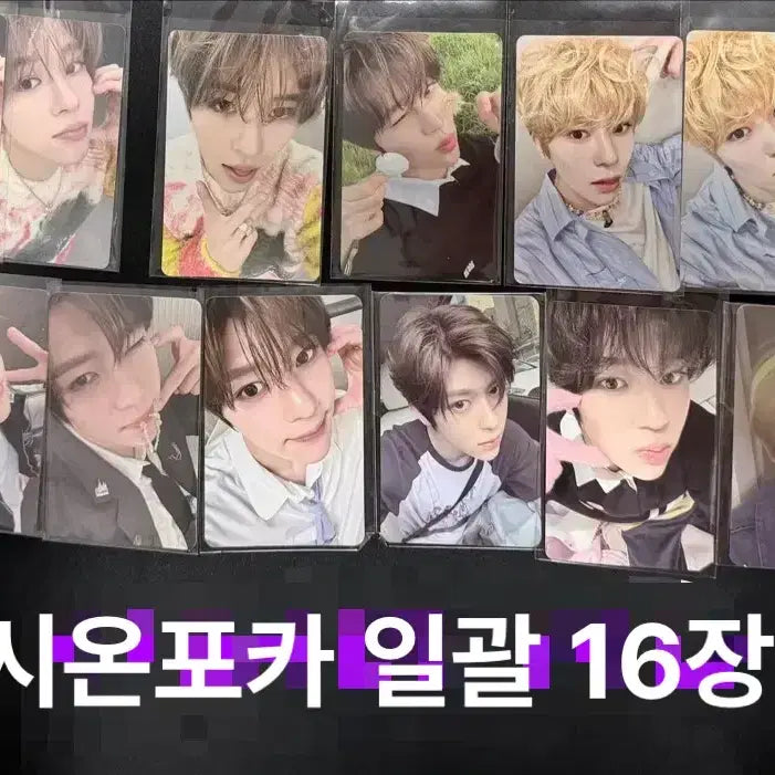 [BUNJANG] NCT WISH Sion Photocard Bundle Set (16 pcs) / NCT WISH 엔시티위시 시온 포카 일괄 (16장)